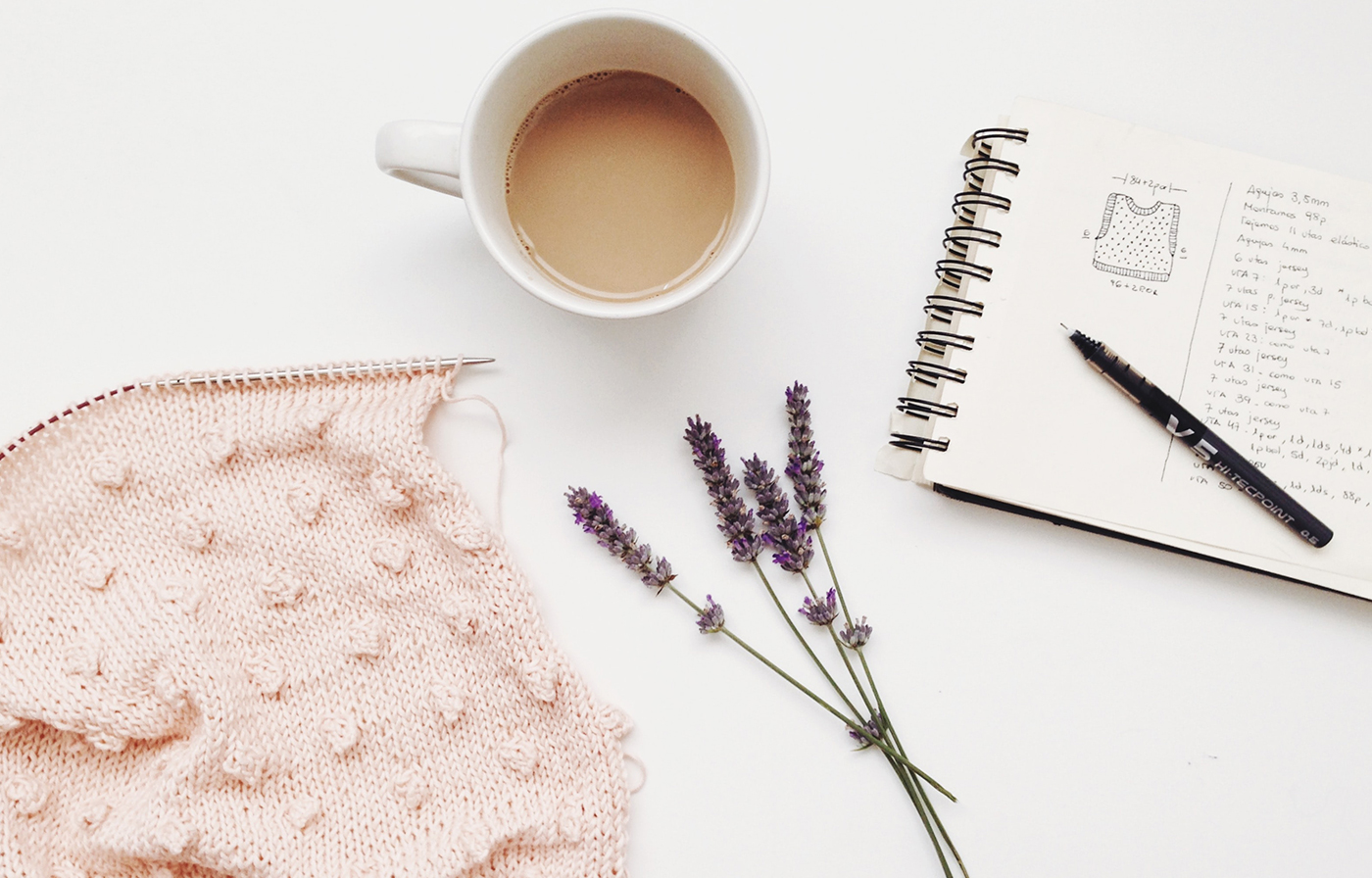 These subjects cover plant care tips, recipes, decor and diy These subjects cover plant care tips, recipes, decor and diy