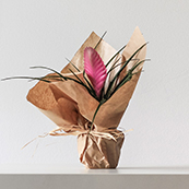 Paper Crafts Paper Crafts