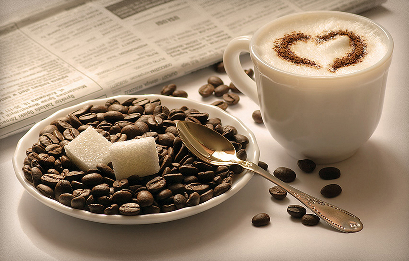 Cacao and Coffea &ndash; the Differences and Similarities